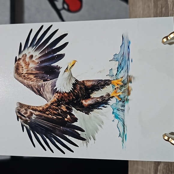 4x6 Soaring Bald Eagle‎ Ocean Watercolor Oil Painting Art Print - Picture 7 of 8